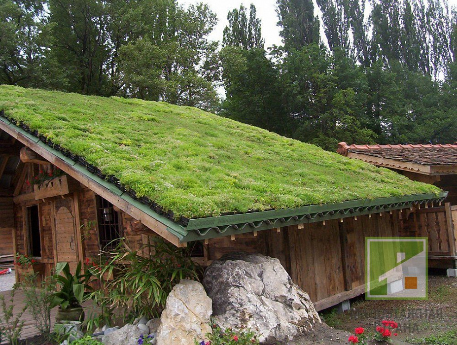 Zelená střecha Třebíč — Vysočina.