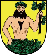 Erb — Město Albrechtice