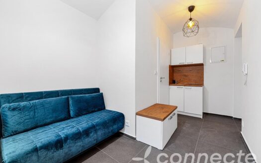 Prodej bytu 1+kk a garsoniéry 16 m²Hejtmánkova, Praha