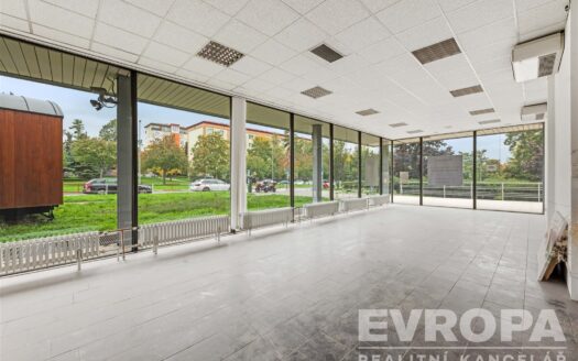 Pronájem kanceláře 142 m²V olšinách, Praha