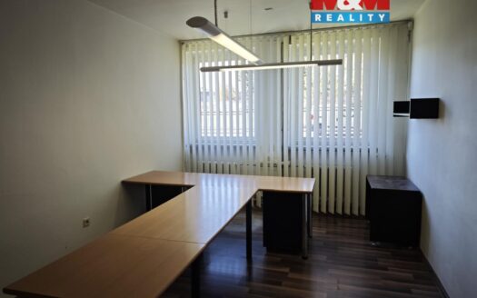 Pronájem kanceláře 19 m²Vítkovická, Ostrava