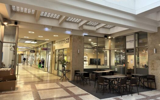 Pronájem skladu 12 m²Nové Město, Praha