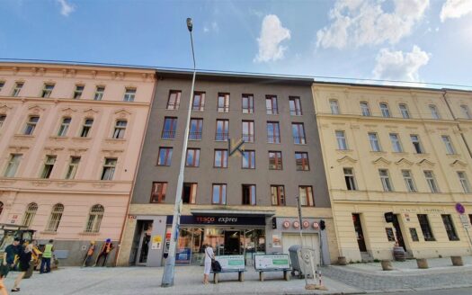 Pronájem kanceláře 375 m²Táborská, Praha