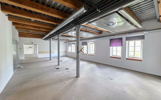 Pronájem kanceláře 270 m²U průhonu, Praha