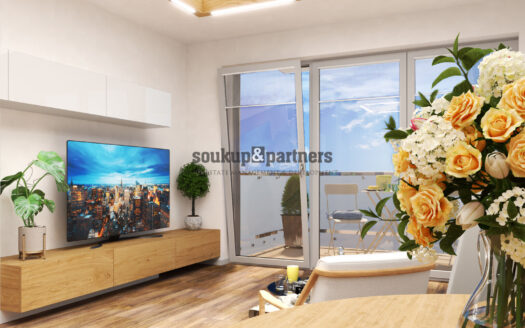 Prodej Byty 1+kk Praha Sedlářova 32 m²