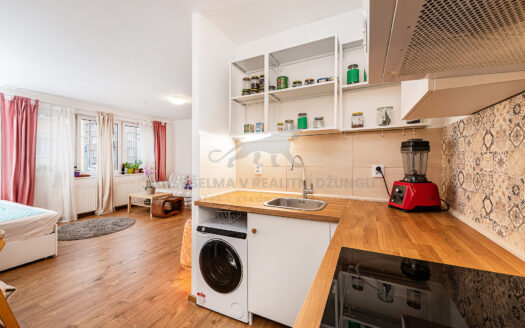 Prodej Byty 1+kk Praha Braunerova 41 m²