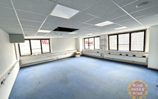 Pronájem Komerční Kanceláře Praha Hráského 300 m²