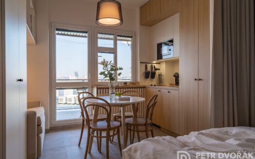 Prodej bytu 1+kk, 27 m² – Praha, Nové Město, ulice Opletalova