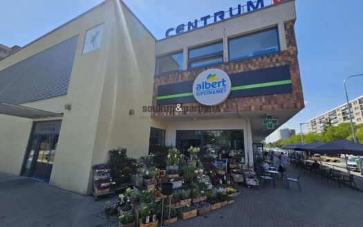 Pronájem Komerční Obchody Praha Hlavní 25 m²