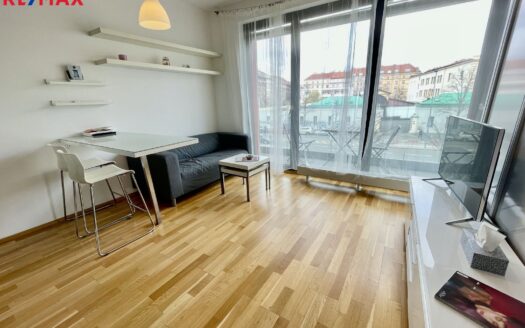 Pronájem Byty 1+kk Praha Korunní 42 m²