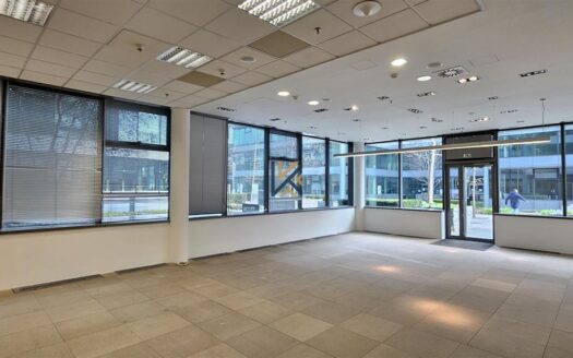 Pronájem Komerční Obchody Praha V parku 140 m²