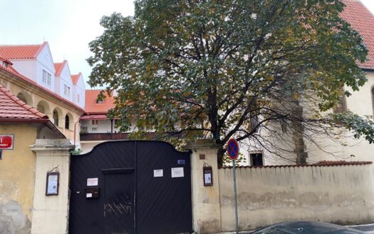 Pronájem Byty 1+kk Praha Všehrdova 25 m²