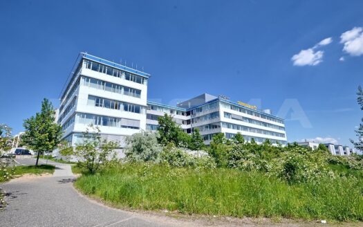 Pronájem Komerční Kanceláře Praha Pekařská 393 m²