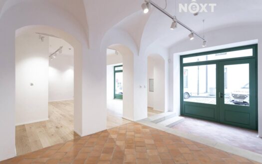 Pronájem Komerční Obchody Praha Vlašská 98 m²