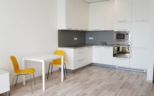 Pronájem Byty 1+kk Praha Ferrariho 36 m²