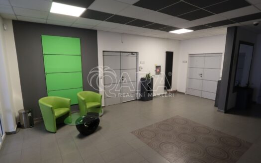 Pronájem Komerční Kanceláře Praha Jana Růžičky 27 m²