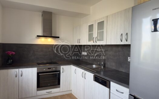 Pronajem bytu 2+kk Praha U Slavie 54 m²