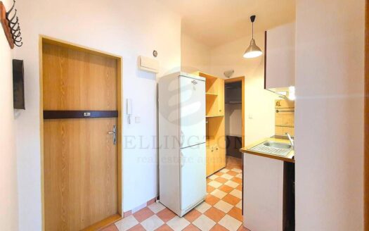 Pronájem Byty 2+1 Praha Čestmírova 54 m²