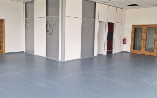 Pronájem Komerční Obchody Praha Sezemická 132 m²