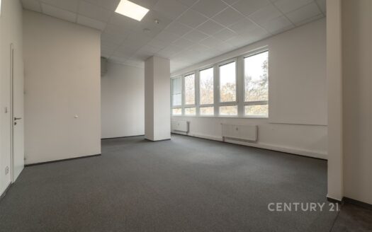 Pronájem Komerční Kanceláře Praha Teplická 60 m²