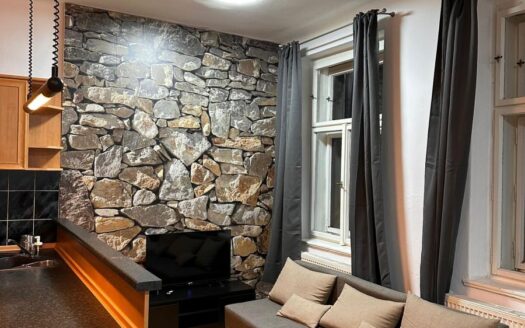 Pronájem bytu 2+kk, 75 m² – Praha, Žižkov, ulice Husinecká