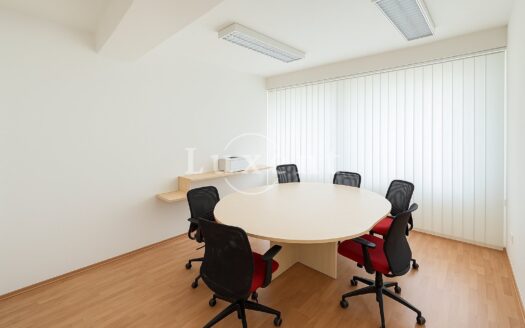 Pronájem Komerční Kanceláře Praha Břehová 13 m²