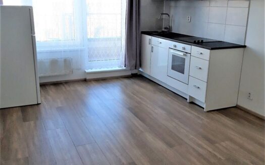 Pronájem Byty 1+kk Praha Nad přehradou 31 m²
