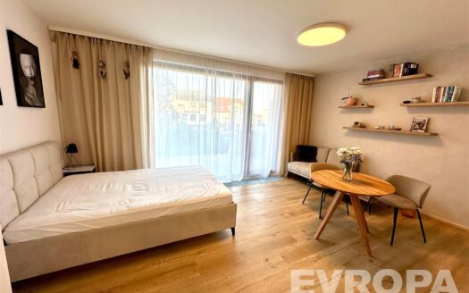 Pronajem bytu 1+kk Praha Ústecká 67 m²