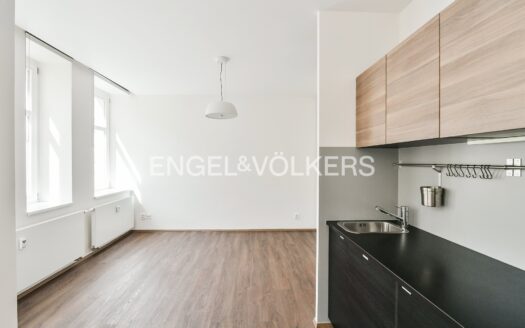 Pronájem Byty 1+kk Praha Lucemburská 30 m²