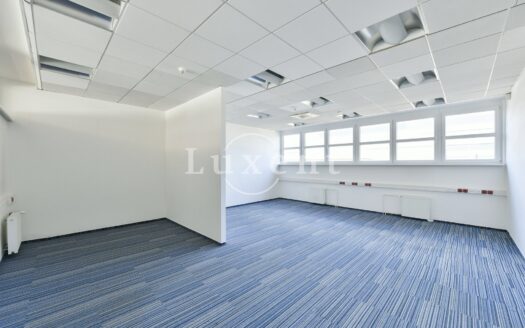 Pronájem Komerční Kanceláře Praha Hráského 650 m²