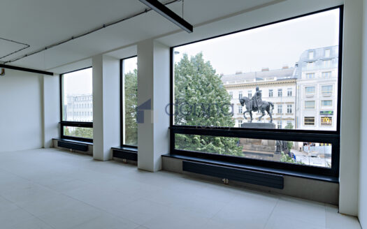 Pronájem Komerční Kanceláře Praha Václavské náměstí 326 m²