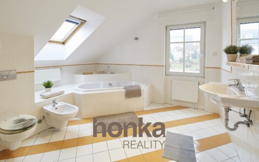 Pronájem Domy Rodinné domy Praha Souběžná I 310 m²