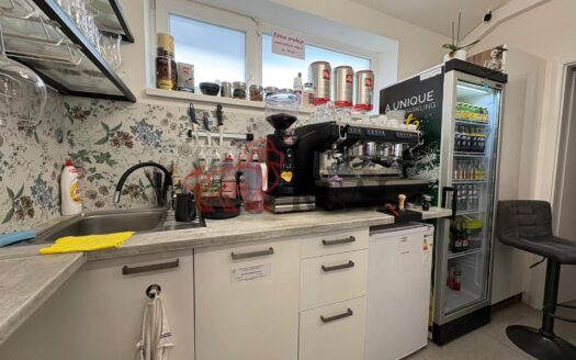 Pronájem Komerční Obchody Praha Starokolínská 54 m²