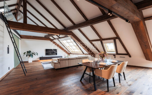 Pronájem Byty 5+kk Praha Truhlářská 335 m²