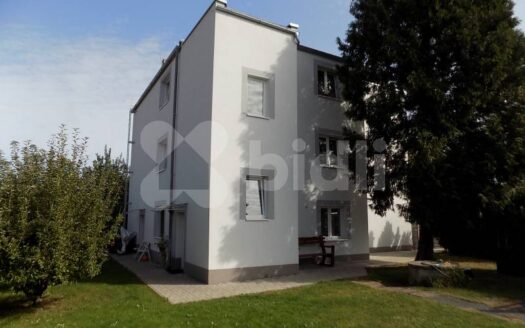 Prodej Domy Rodinné domy Praha Moravanská 315 m²