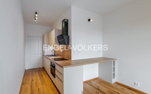 Pronájem Byty 2+kk Praha Donská 45 m²