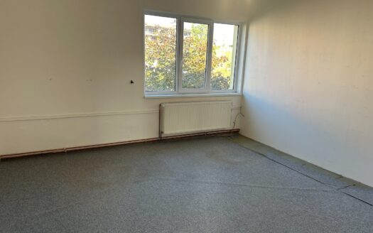 Pronájem Komerční Kanceláře Praha U Elektry 21 m²