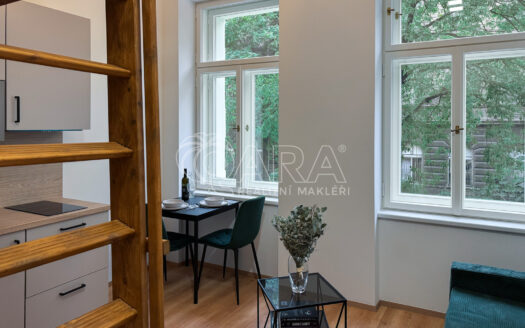 Pronájem Byty 1+kk Praha Sokolská 17 m²