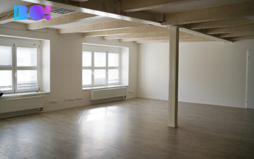Pronájem Komerční Kanceláře Praha Zubatého 260 m²