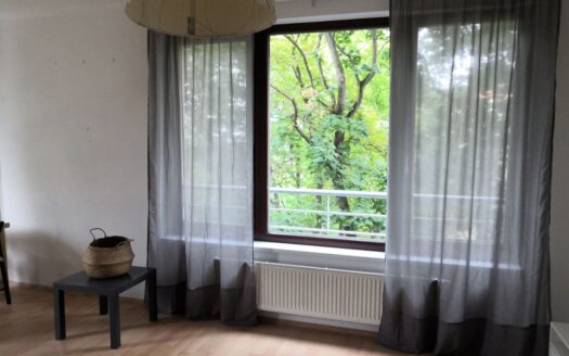 Pronájem Byty 1+1 Praha Musílkova 24 m²