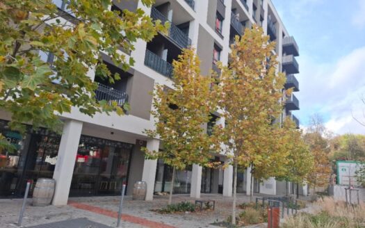 Pronájem Komerční Kanceláře Praha Olgy Havlové 71 m²