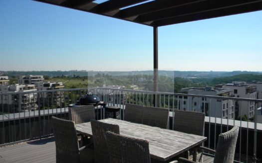 Prodej Byty 4+kk Praha Učňovská 258 m²