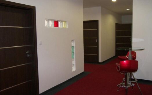 Pronájem Komerční Kanceláře Praha Jana Růžičky 26 m²