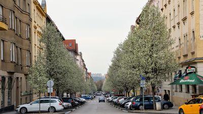 Pronájem Komerční Výrobní objekty Praha Eliášova 33 m²