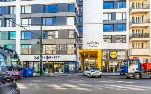 Pronájem Komerční Kanceláře Praha Sokolovská 289 m²
