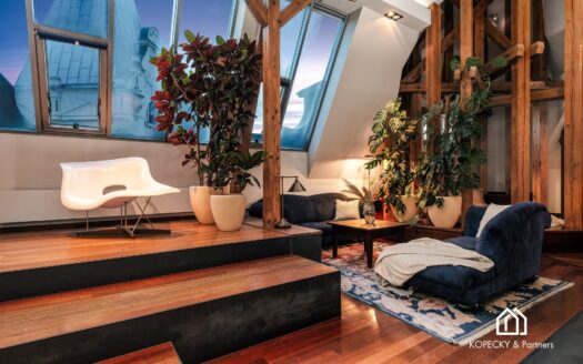 Prodej Byty 4+kk Praha Široká 212 m²