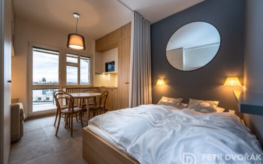 Prodej Byty 1+kk Praha Opletalova 27 m²