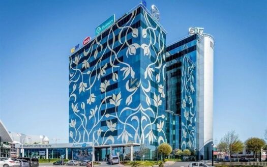 Pronájem Komerční Ordinace Praha Türkova 500 m²