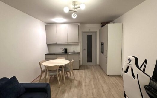 Pronájem Byty 1+kk Praha Výstavní 33 m²