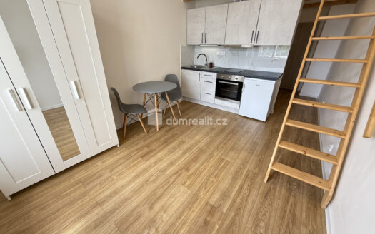 Pronájem Byty 1+kk Praha Na Valentince 35 m²